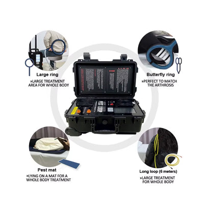 Dual Channel Pemf Magnetic Therapy Device Physio Magneto Therapy Machine Pemf Loop Pain Relief Arthritis Neuralgia Rehabilitatio